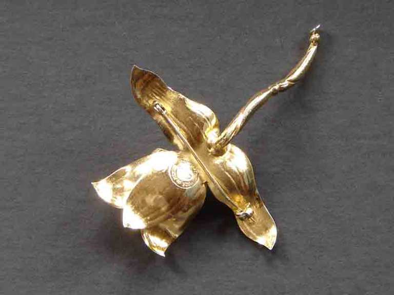 Aguilar flower back Aguilar flower back