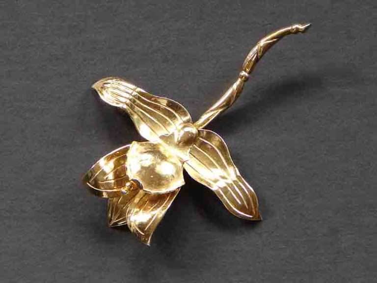 Aguilar flower Aguilar flower