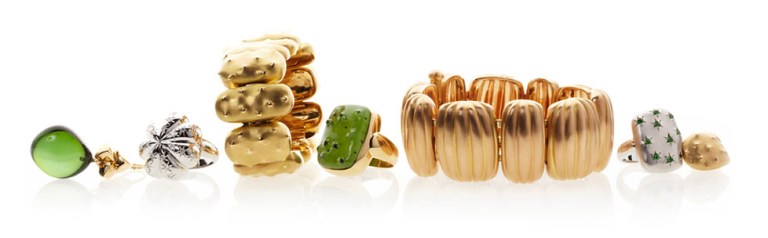 Cora Sheibani cactus collection