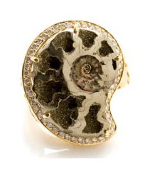 Ludivine Ammonite ring