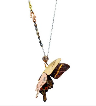 James Banks Butterfly 1