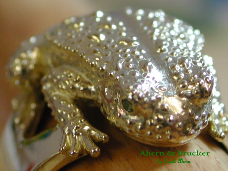 ahern-and-brucker-frog-pill-box-ring